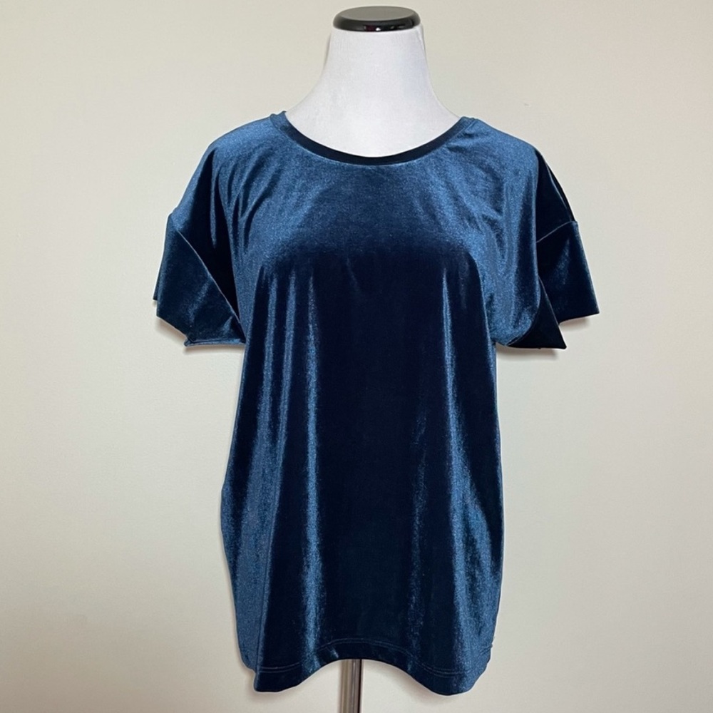 Final! Anthropologie Corey Lynn Calter Velvet Tee